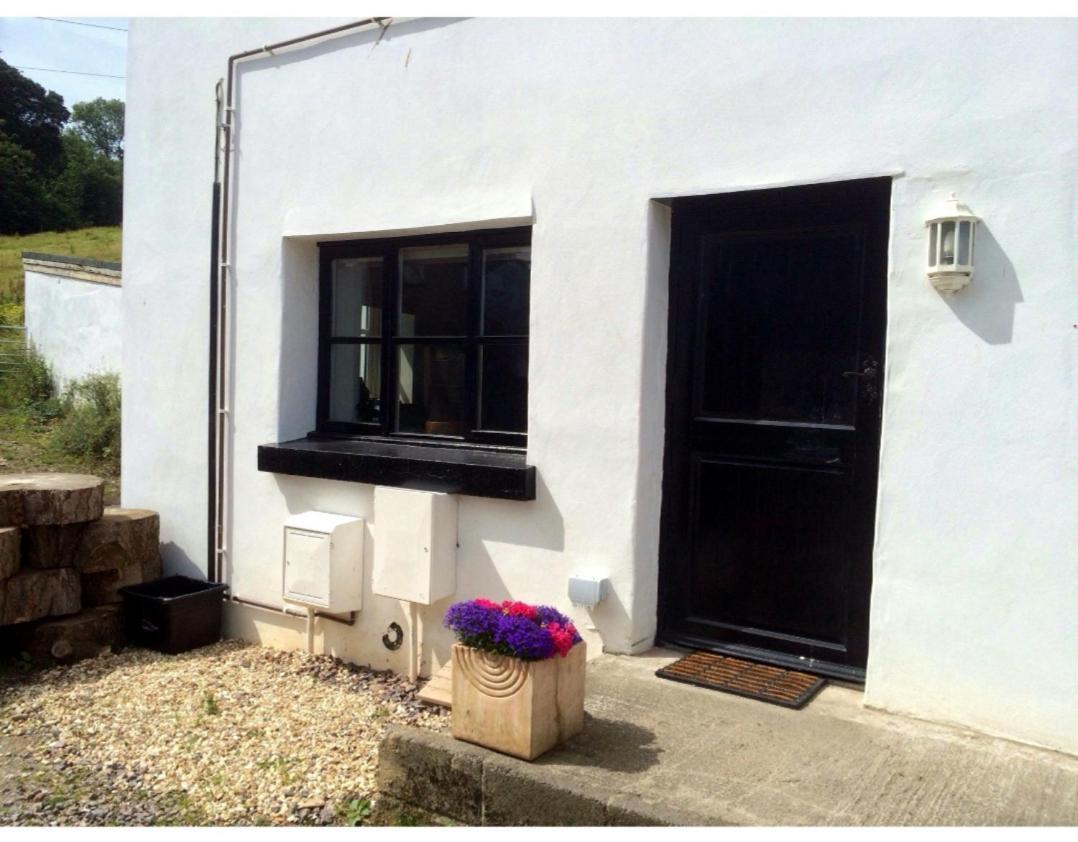 Laston Mews Ilfracombe Exteriör bild